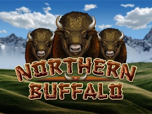 Northern Buffalo