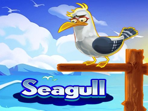 Seagull