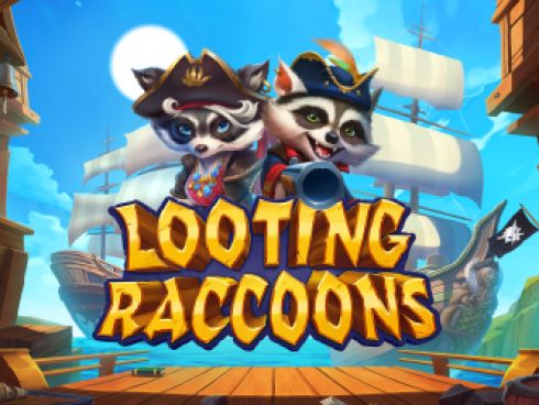 Looting Raccoons