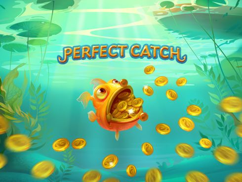 Perfect Catch